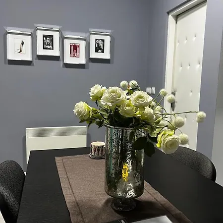 Apartment Sandra Center Belgrade